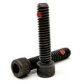 1/4 -20 x 1 1/4 (FT) Coarse Thread Socket Head Cap Screw Nylon Pellet Alloy Steel Black Oxide Pk 25