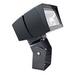 RAB Lighting FUTURE LFLOOD 39W COOL LED TRUNNION BRONZE FLOODLIGHT