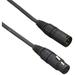 Planet Waves Classic Series XLR Microphone Cable 10 feet