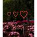 Solar Heart LED Neon Outdoor Garden DÃ©cor Stake Light