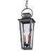2 Light Outdoor Hanging Lantern 7 inches Wide By 20.5 inches High Bailey Street Home 154-Bel-615673