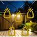 Northlight 10-Count LED Pineapple Fairy Lights - Warm White