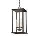 4 Light Medium Outdoor Hanging Lantern 21.25 inches Tall and 10 inches Wide-French Iron Finish Bailey Street Home 154-Bel-4623677