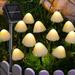 Rirool Solar Powered Mushroom Lights Solar String Light Night Garden Outdoor Lights 8 Modes 12.5 Feet 12 Pieces LED Waterproof LED String Lights