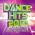 Dance Hits 2013 Non Stop Mix Version - Dance Hits 2013 Non Stop Mix Version - Electronica - CD