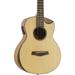 Traveler Guitar Redlands Concert Spruce Acoustic-Electric Guitar Spruce