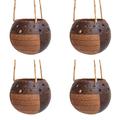 Rainforest Bowls Hanging Stripes Coconut Planter 4-Pack