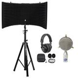 Blue Microphone Cardioid Small Diaphragm B1 Capsule+Iso Shield+Stand+Headphones