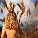 Sophie B. Hawkins - Wilderness - Rock - CD