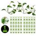 50PCS Plant Climbing Wall Fixture Clips Plant Fixer Self-Adhesive Hooks for Invisible Wall Vines Plant Fixation Plant Vine Traction Garden Vegetable Plant Binding