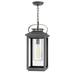 1 Light Medium Outdoor Hanging Lantern in Traditional-Coastal Style 9.5 inches Wide By 21.5 inches High-Ash Bronze Finish-Incandescent Lamping