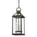 4 Light Large Outdoor Hanging Lantern 22.25 inches Tall and 8.5 inches Wide Bailey Street Home 154-Bel-4623627