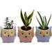 India Meets India Ceramic Planter Owl Shaped [Multi-Color - 3.5 inch] - Ceramic Flower Pot/Indoor/Outdoor Pot Set of 3 - by Awarded Indian Artisan