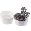 3 Pack Grey Flower Pots Outdoor Indoor Garden Planters Plant Containers with Drain Hole Plant Pots for All Home Garden Flowers Succulents.