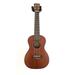 Journey UC310 - Solid Top Mahogany Concert Ukulele with Case