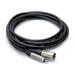 Hosa Technology Unbalanced RCA Male to 3-Pin XLR Male Audio Cable 20