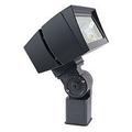 RAB Lighting FUTURE LFLOOD 39W COOL LED SLIPFITTER BRONZE FLOODLIGHT