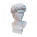 4.5 Greek Statue of David Vase Indoor and Outdoor Resin Flower Pot Sculpture Brush Holder Bust for Home and Garden Photo Props