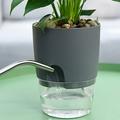 Dream Lifestyle Self Watering Planters Plant Pots Self Watering Pots Planters for Indoor Plants Plastic Flower Pot with a Watering Bottle