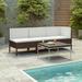 Andoer 3 Piece Garden Set with Cushions Poly Rattan Brown