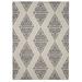 Linon Outdoor Washable Area Rug Collection Ivory and Brown 5 x 7