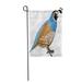 LADDKE Blue Bird Cartoon Quail Simple Gradients Yellow Black Garden Flag Decorative Flag House Banner 12x18 inch