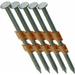 Grip Rite Prime Guard GR08RHG1M 21 Degree Plastic Strip Round Head Exterior Galvanized Collated Framing Nails 2-3/8 x 0.113 by Grip Rite Prime Guard