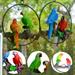 Yirtree Hanging Parrots for Patio Resin Parrot Hanging Statue Garden Decor Bird Macaw Sculpture On Metal Ring for Patio Lawn Home Garden Tree Decoration