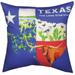 Home Decor Texas Collage Climaweave Pillow Fabric Lone Star State Sltcmc
