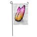 LADDKE Pink Natural Color Butterfly White Colorful Abstract Beauty Black Garden Flag Decorative Flag House Banner 28x40 inch