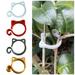 Bcloud 5Pcs/Set Creative Cat Shape Plant Fixing Clip Cute Reliable Plastic Vine Fixing Clip Gardening Accessories