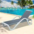 Domi Outdoor Living Adjustable Chaise Lounge Aluminum Outdoor Patio Lounge Chair with Armrest All Weather Five-Position Recliner Chair for Patio Pool Beach Yard(Grey)