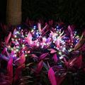 2Pack Beautiful 20 LED Fairy Flower Lights Solar Lights Outdoor Decorative Solar Garden Lights Solar Powered Outdoor Lights Multi-Color Yard Lights for Walkway Patio Yard Garden Lawn