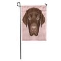KDAGR Brown Black Labrador Retriever Dog Portrait of Chocolate on Pink Garden Flag Decorative Flag House Banner 12x18 inch