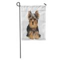 KDAGR Dog One Puppy of The Yorkshire Terrier Lies on White Small Yorkie Adorable Garden Flag Decorative Flag House Banner 28x40 inch