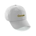 Daxton USA States Golf Dad Hat Cap Cotton Unstructure Low Profile Strapback White Hat Chicago