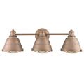 3 Light Vanity Light in Traditional Style 8.13 inches High By 24.38 inches Wide-Copper Patina Finish Bailey Street Home 170-Bel-2752937