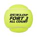 Dunlop Fort All Court Tennis Balls (Pack of 12)