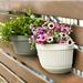 Yirtree Wall Planter Pots Outdoor Use Plastic Small Self Watering Wall Mounted Flower Plant Basket for Home Garden Porch Balcony Kitchen Wall Decoration Wedding Gift