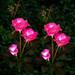 Outdoor Solar Lights 2 x Pink Solar Rose Lights Solar Outdoor Lights Waterproof Garden Decorations Solar Garden Lights for Garden Patio Yard Pathway Decoration