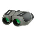 Carson Scoutâ„¢ Series 8x22mm Compact and Lightweight Sport Binoculars