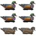 Final Approach LIVE Floating Wood Duck Decoys - 6 Pack