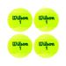 Wilson Championship Tennis Balls (Pack of 4)