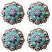 4 Conchos Rhinestone Horse Saddle Western Berry CO53