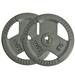 DZT1968 Barbell Standard Cast Iron Weight Plate-Weight Lifting Plates 2.5-55 Lbs