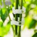 100 PCS Plastic Garden Plant Support Clips for Indoor Outdoor Plant Tomato Clips Plant Ties Trellis Clips for Tomato Cucumber Flower Squash Vine 1â€� Inner Diameter