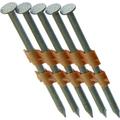 Grip Rite Prime Guard GR04HG1M 21 Degree Plastic Strip Round Head Hot Dipped Galvanized Collated Framing Nails 2 x 0.113 2 x 0.113 Upgrade