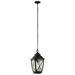1 Light Outdoor Hanging Lantern 18.75 inches Tall By 9.5 inches Wide Bailey Street Home 147-Bel-2279503