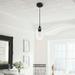 CO-Z 1-light Glass Pendant Light with Adjustable Cord Clear & Black Matte N/A