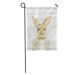 SIDONKU Brown Rabbit Bunny Watercolor on White Easter Hare Nature Pet Garden Flag Decorative Flag House Banner 28x40 inch